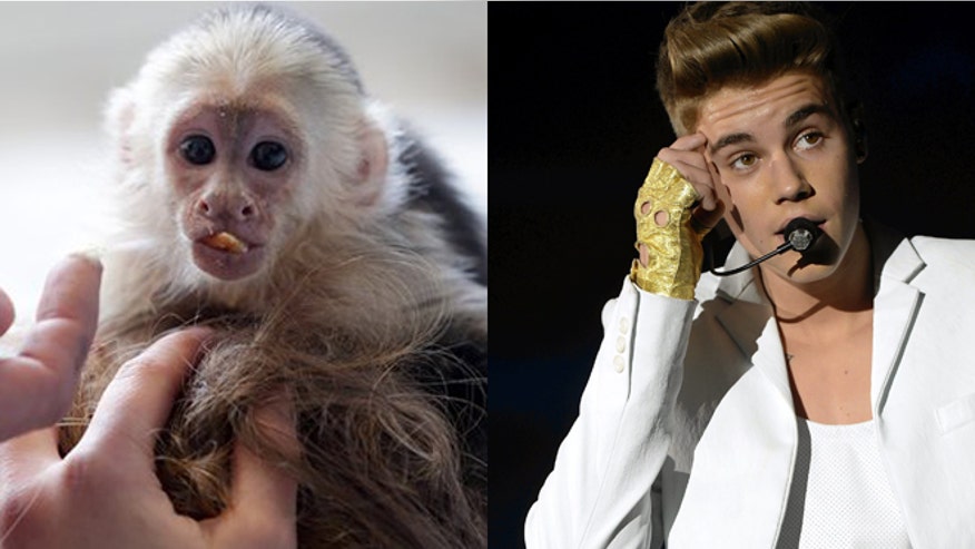 Justin Bieber monkey ap.jpg